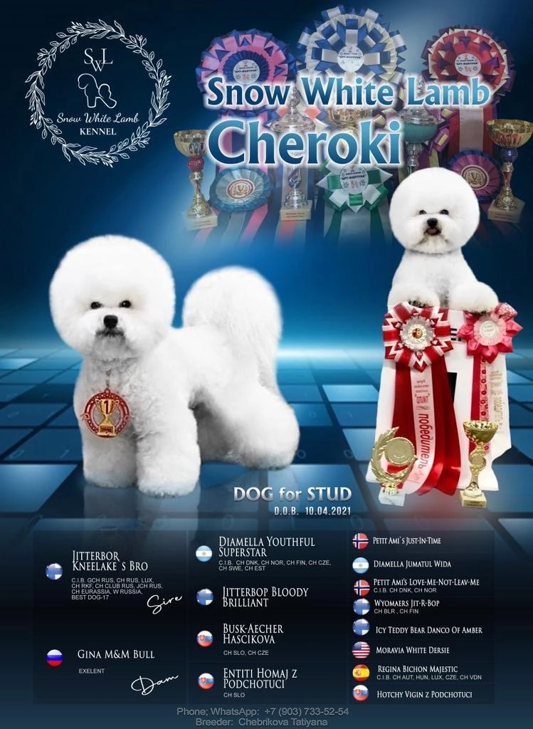 Snow White Lamb Cheroki