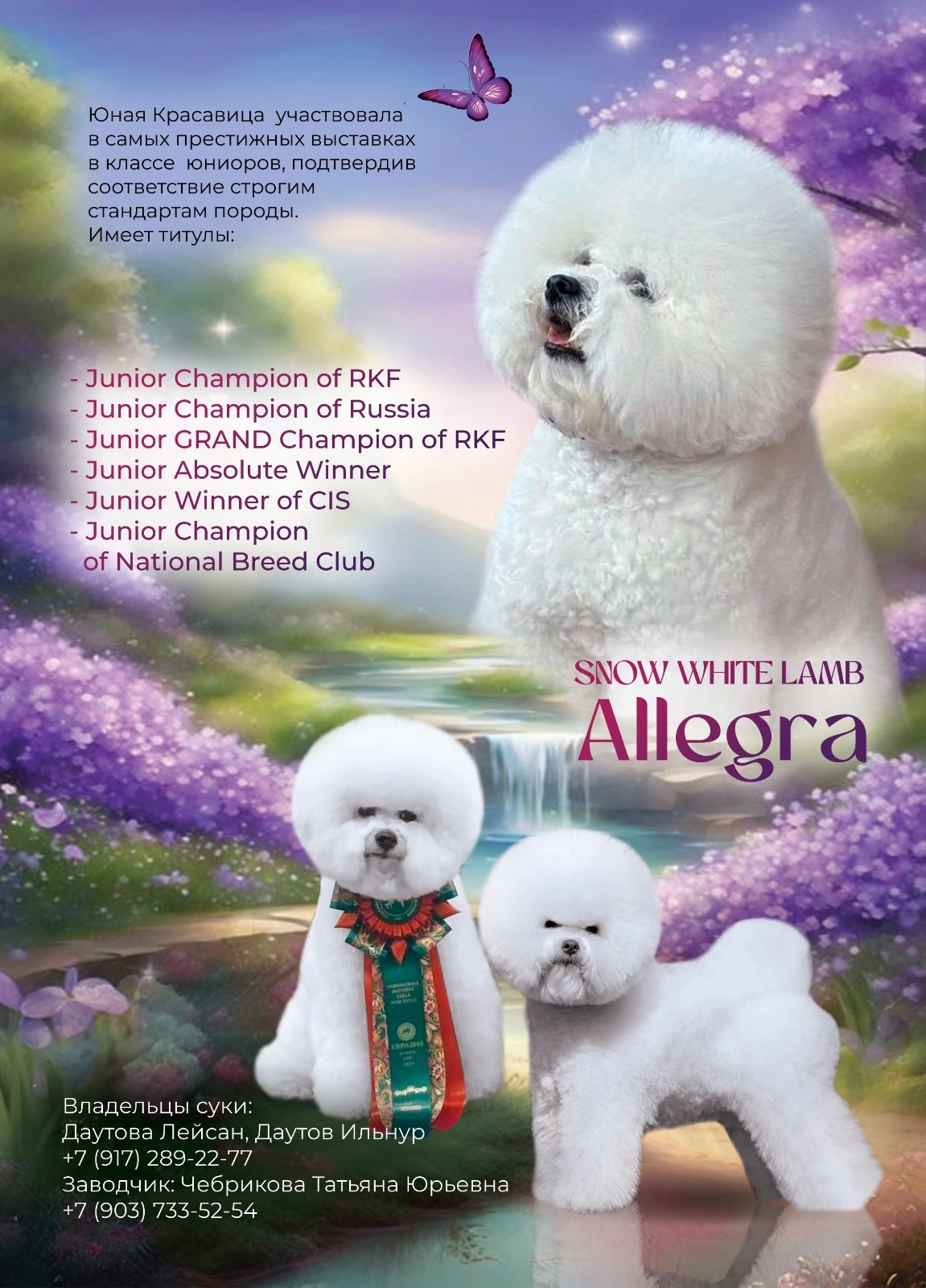 Snow White Lamb Allegra