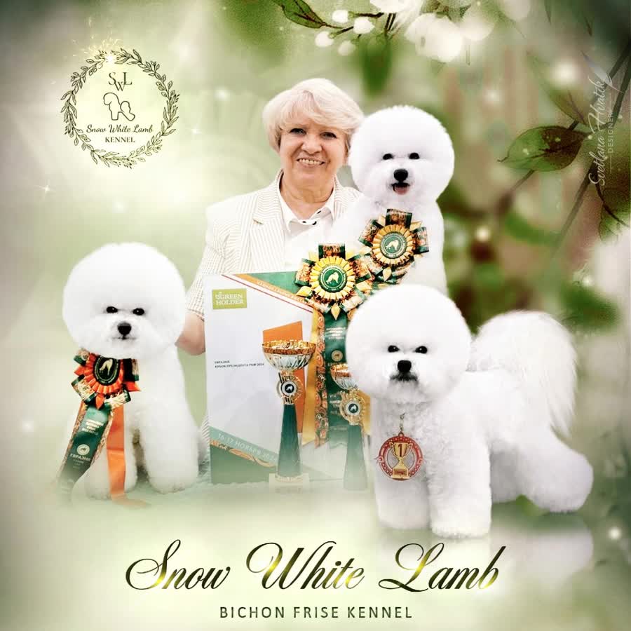 Snow White Lamb